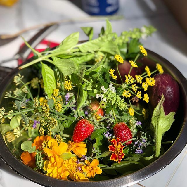 freshfancyfarms's tweet photo. today felt like a bowl of spring. https://t.co/XHMpoguoQk https://t.co/2y20bvQ3kZ