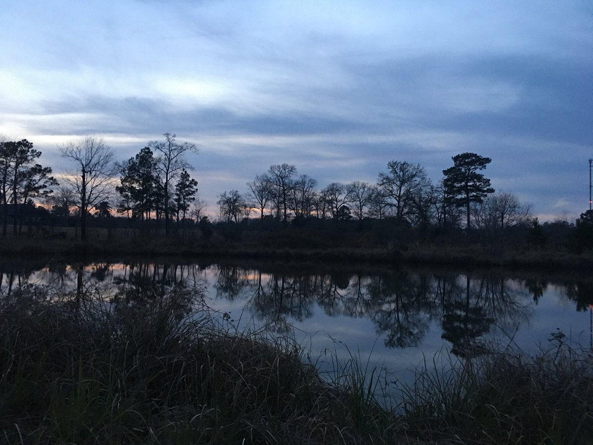 Texascopywriter's tweet photo. A small portion of the land that hosts our (for now) VERY small (like SMALL) traditional parish. The Dragonslayer & I cam out bc he was doing some wrk on the parish house. The #blessing comes in the evening after the work is done! #OrthodoxCatholic https://t.co/eDKmBU50e2