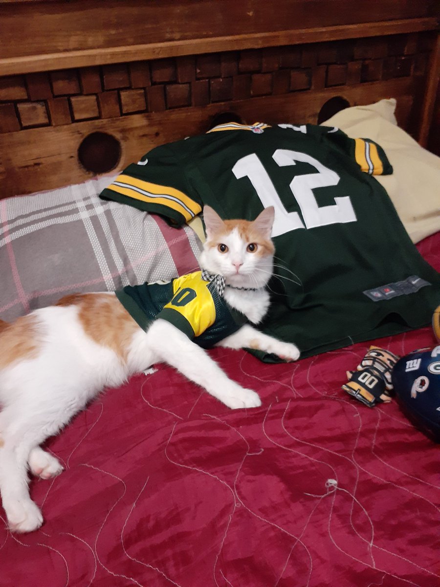 JuliaAbogata's tweet photo. #GoPackGo #Manekey #Gatos #GreenBayPackers https://t.co/SW6lrMF7Qr