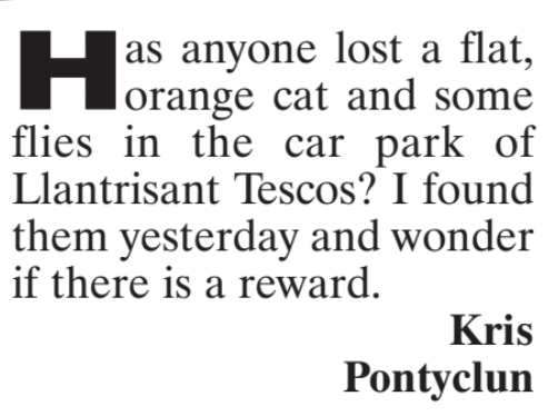 vizcomic's tweet photo. https://t.co/X3OJdKZgwU https://t.co/soRqFgj23m