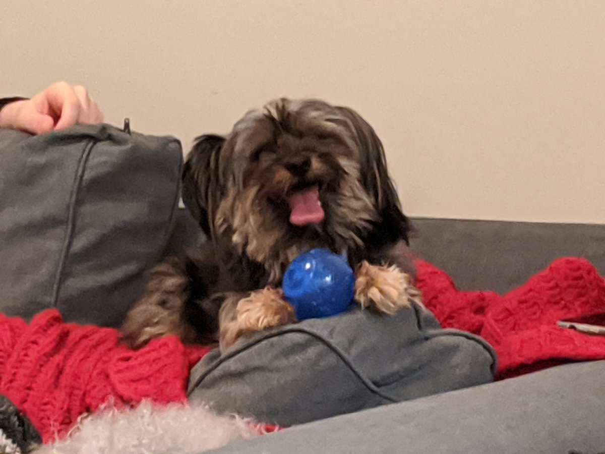 SPLMunch's tweet image. Hope everyone had a good weekend 🙂