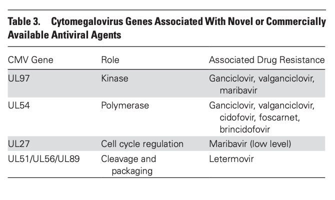 Saman Nematollahi tweet media