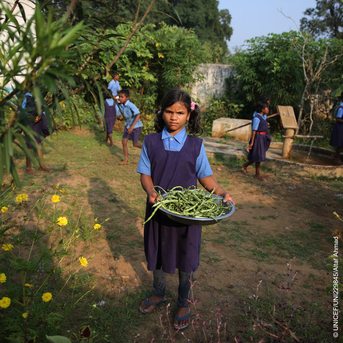 UNICEFIndia's tweet photo. #ForEveryChild, nutrition

These students in Bangaloor Primary School, Chhattisgarh are learning about diets and nutrition in a unique way.

Along with their teachers, they are growing their own produce in their kitchen garden at school.

#MondayMotivation https://t.co/r14HUetYIm