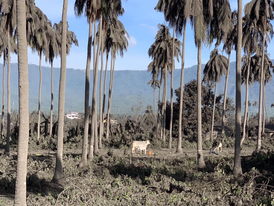 maryrobido's tweet photo. #ASHFALLALERT
Keep safe,
be alert
be prepared
#TaalEruption2020 https://t.co/bX3HLudBKE