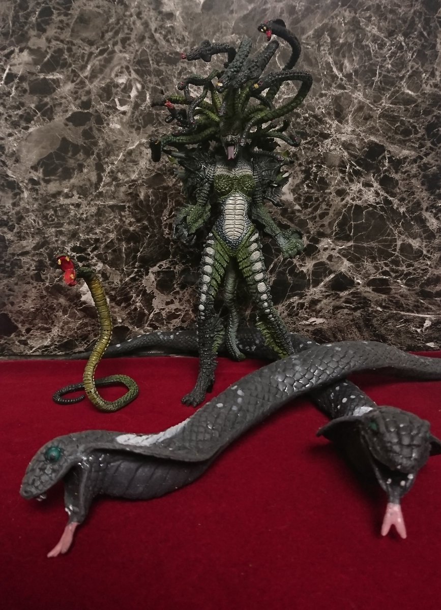 うどんday マクファーレン スポーン メデューサ 可動は昔のマクファーレンなのでおまけみたいなもんだけど 隣のバイパーがシームレスで超優秀 ジョークグッズのヘビと並べて 蛇ダンジョンですな Uoとかメガテン思い出したり ファンタジーフィギュアで