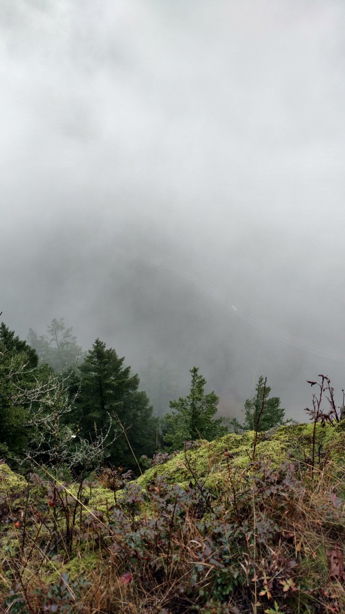 snarkysum's tweet photo. 8.8 miles of easy hiking. Totally didn't scramble up rocks or get hailed on for an hour straight.
Moderately tolerable views were seen as well. #MuddyBuddies #EasyHike https://t.co/XdgbVdNCZr