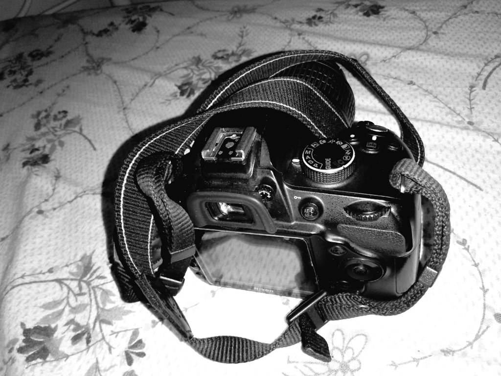 JioF94's tweet photo. --My lover, my mistress, my one and only... Her name's Ava.. 📷📸

😎🤓😍😇

#PhotographyIsLife
#Photography https://t.co/oqYhSVZRaE