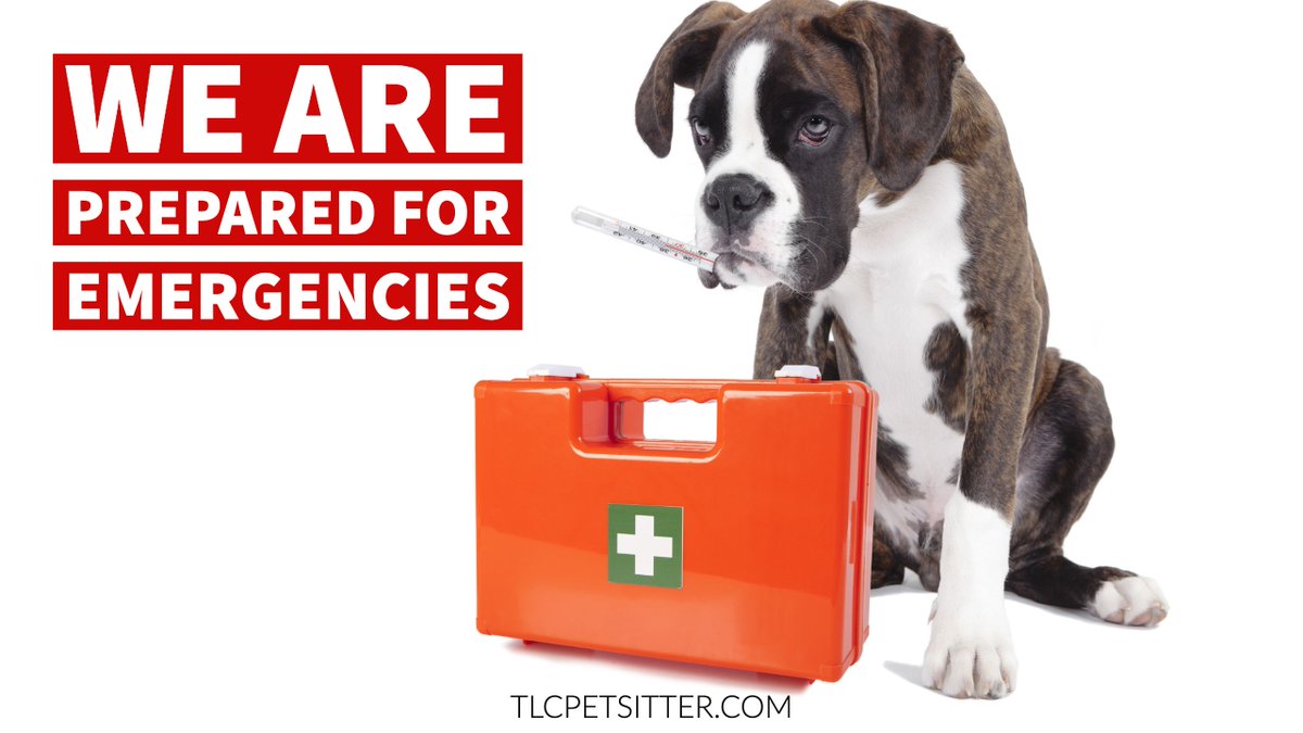 TLCpetsitter's tweet photo. All of our pet sitters are prepared for emergencies.
#tlcpetsitter #azdogmom #petfirstaid #petparent #dogsofgilbert #petsitterlife https://t.co/jKdyllAC8i