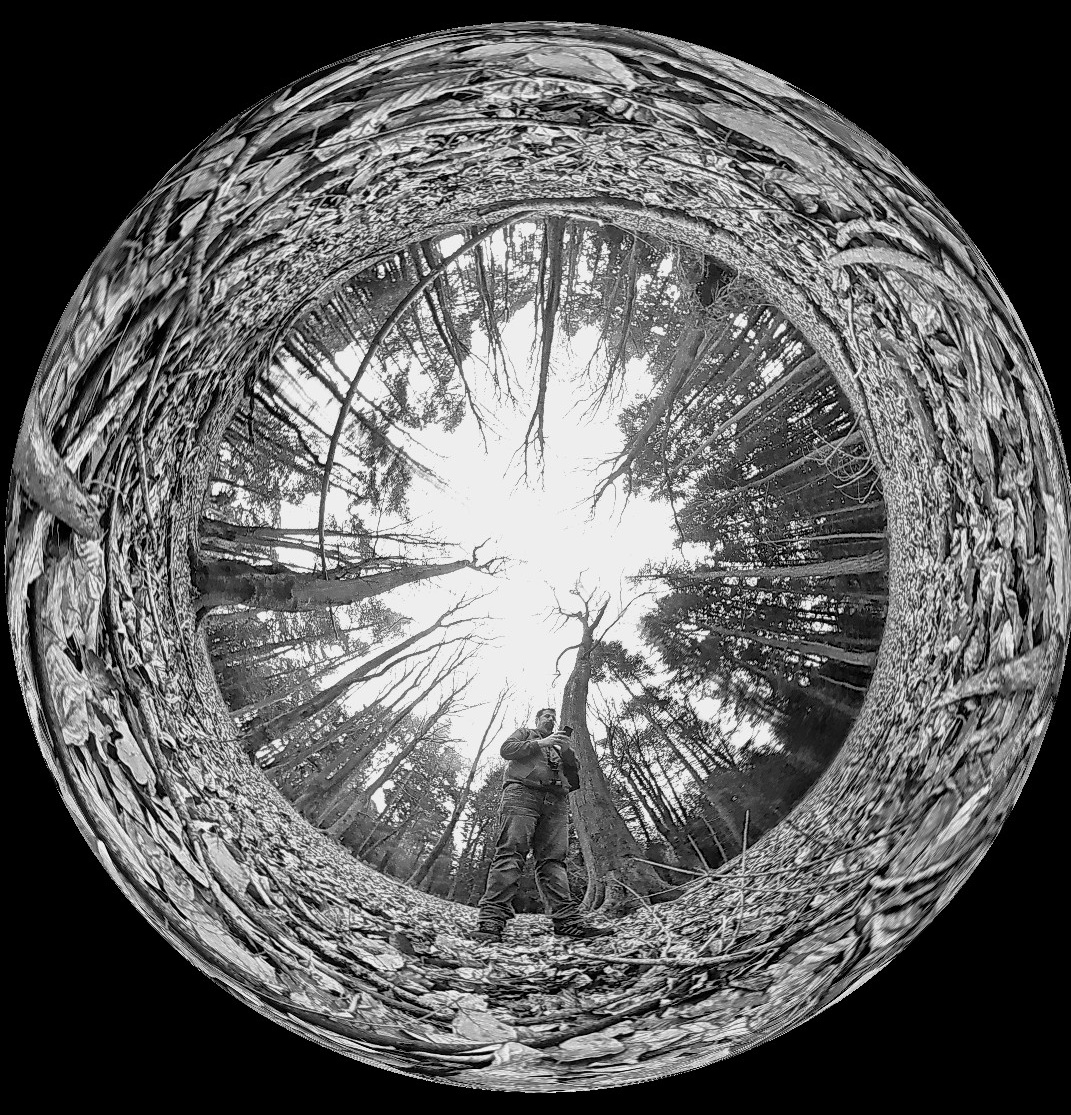 kaner1301's tweet photo. Loving my new camera! #newforest #trees #learntopose #happy https://t.co/2kRmpZoK74