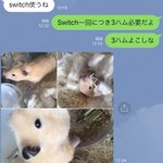 【ハム税ってなに】任天堂switchを貸すときに収めるハム税が可愛すぎる