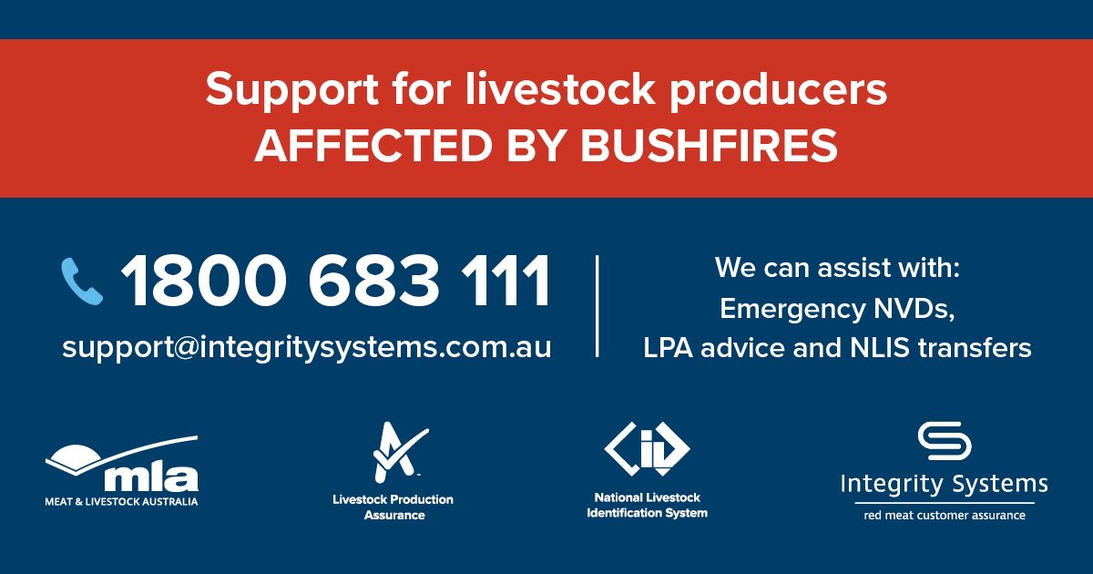 NationalFarmers's tweet photo. Important information regarding assistance for livestock producers affected by bushfires 👇Additional info can be found on FarmHub: https://t.co/pXxrDCTMF8
@cattlecouncilau @SheepProducers @AusDairyFarmers @AustLiveExports @NSWFarmers @VicFarmers @PProducersSA https://t.co/5ooct7P7ow