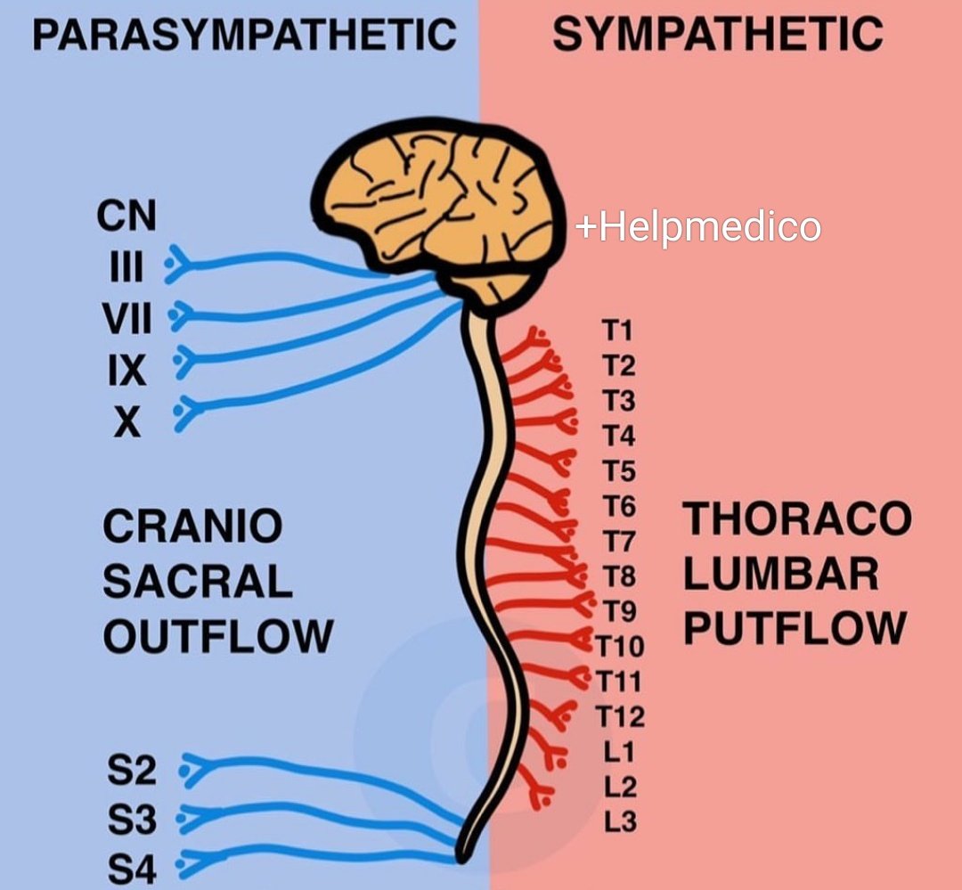 Helpmedico's tweet photo. https://t.co/GKEfj94x5o