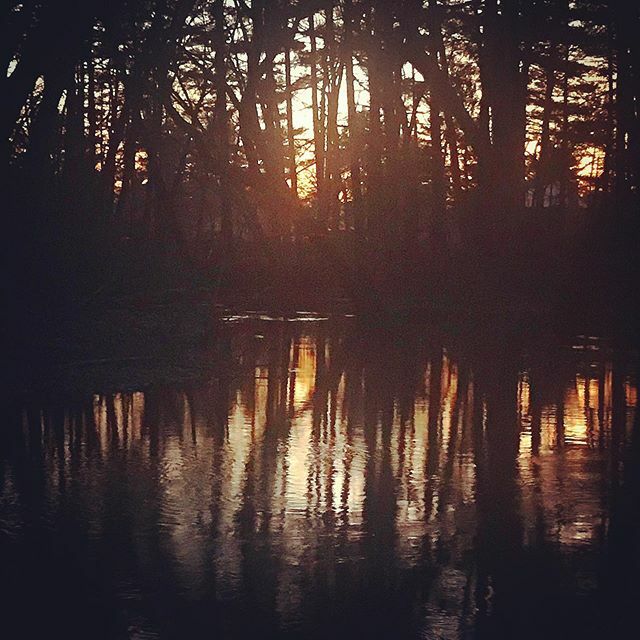 NellySpectacle's tweet photo. Woods of New Hampshire - I heard a great horned owl! #newhampshire.
.
.
.
#woods #brook #backyard #naturephotography #nightphotography https://t.co/G5sCNnvJGB https://t.co/rOMav3JdwK