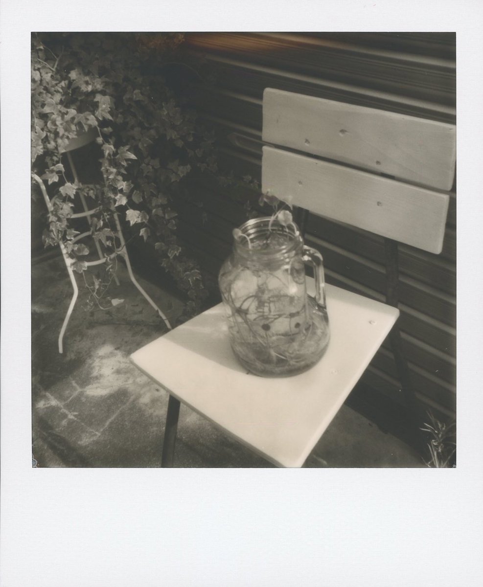 polaroidorg_jp's tweet image. 初売りセールではもれなくモノクロフィルムのお得な3点セットと出会えるよ！

polaroidoriginals.bcc-tokyo.jp/store/600_blac…

#polaroid #polaroidoriginals #ポラ #ポラロイド #ポラロイドオリジナルズ