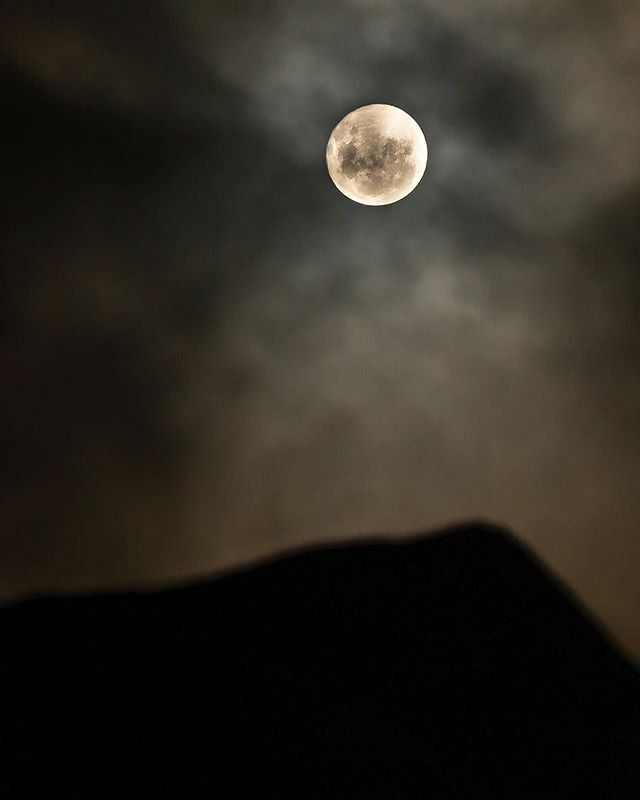 CFN_Photo tweet picture