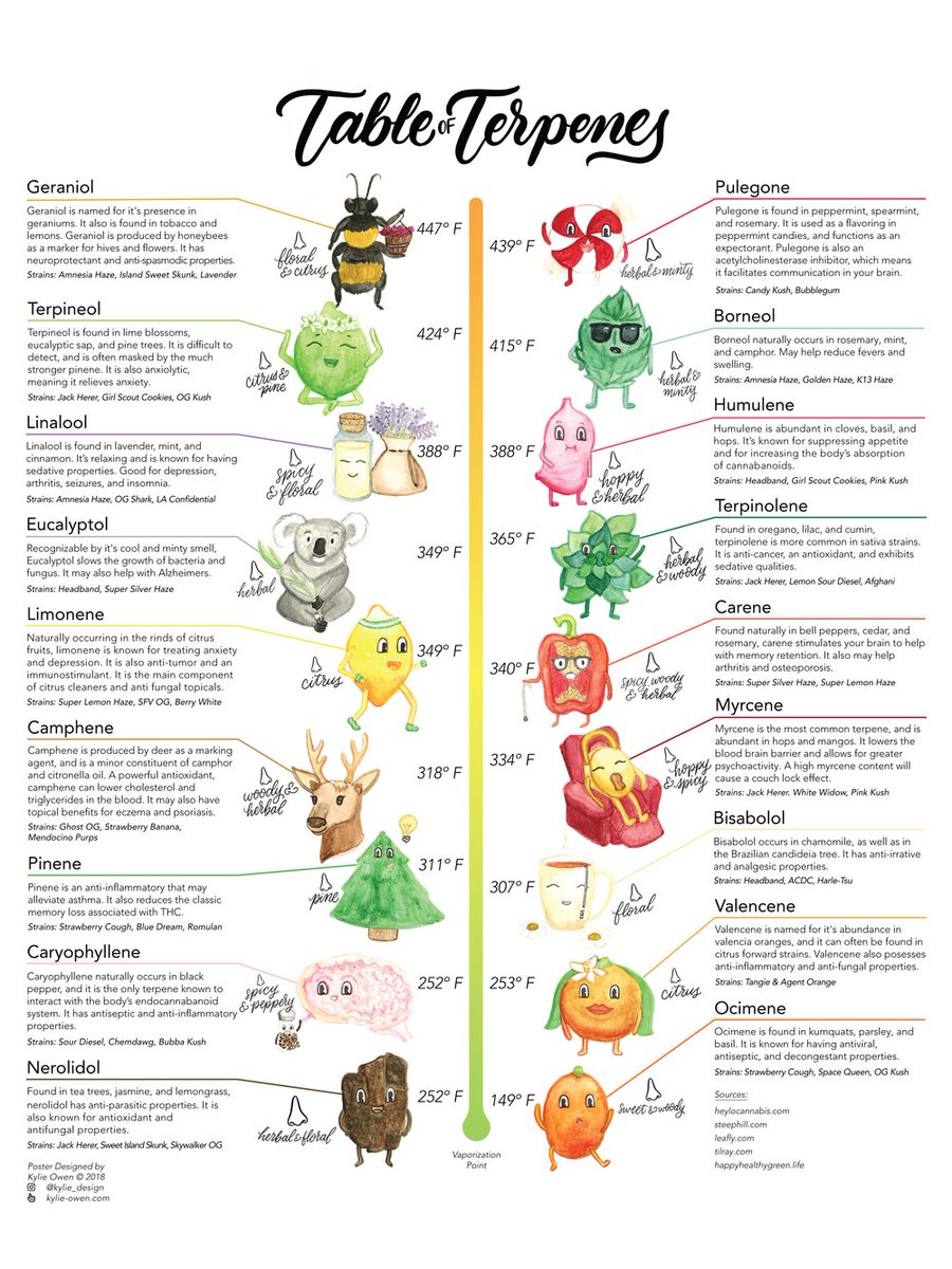 CbdClinical's tweet photo. This is some brilliant work by Kylie Owen (https://t.co/zJn9JVQGsc), illustrating the most common terpenes found in cannabis and their effects. Terpenes contribute far more than many realise to the positive effects of varying cannabis strains. Check her site &amp; show support. 👏👏 https://t.co/qdsjzquMLp