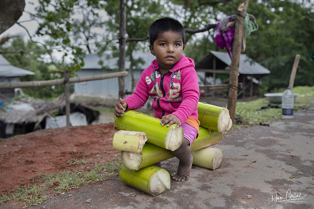 noorahmedgelal's tweet photo. It always seems impossible until it's done!

Though the cyclone "Bulbul" shattered everything but couldn't snatch the dream. Dreams are still alive!

#cyclone_Bulbul #dream #hope #photooftheday #reportage #unicef #photojournalism #reportagespotlight

© Noor Ahmed Gelal https://t.co/T7vwY8knL3