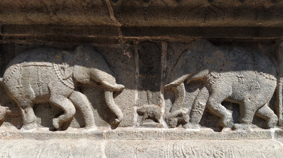 harisree_18's tweet photo. Elephant sculpture from Arunachaleswarar temple, Thiruvannamalai #thiruvannamalai
#arunachaleswarartemple
#traditionalarchitecture
#templesoftamilnadu
#incredibleindia #elephantsculpture #thisismyindia #gloryofbharat #indiancontents #templesofindia #templearchitecture https://t.co/2uVCPXMAss