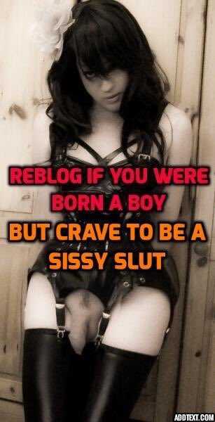 #Sissyclub #sissy #sissyfun #sissyanal #sissytrainer #transgirl #crossdresser #femboy #cd #porn #tv #transvestite