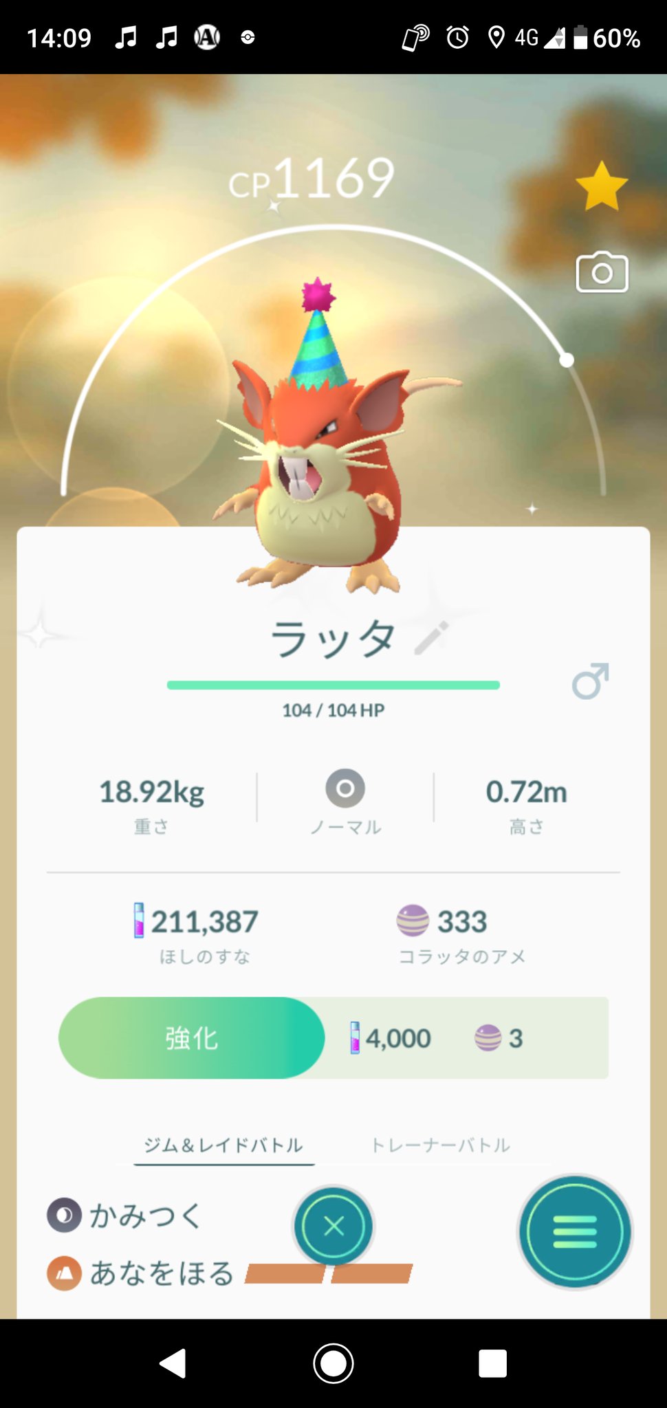 ラッタ Twitter Search Twitter