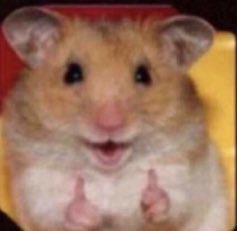 بابلو . tweet media