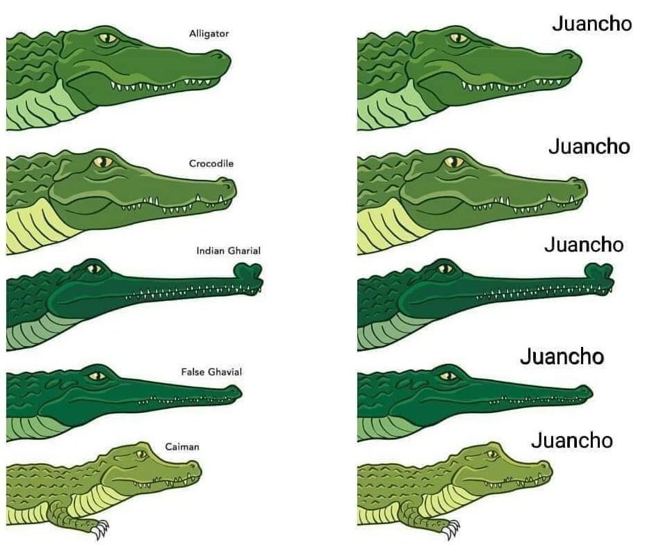 Otras partes del mundo // En Tampico