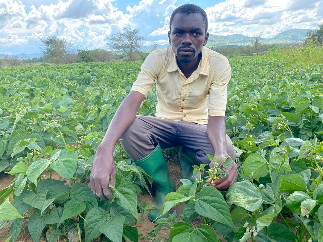 Hadija Jabiri tweet media