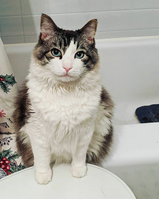 Sandy Hogan tweet media