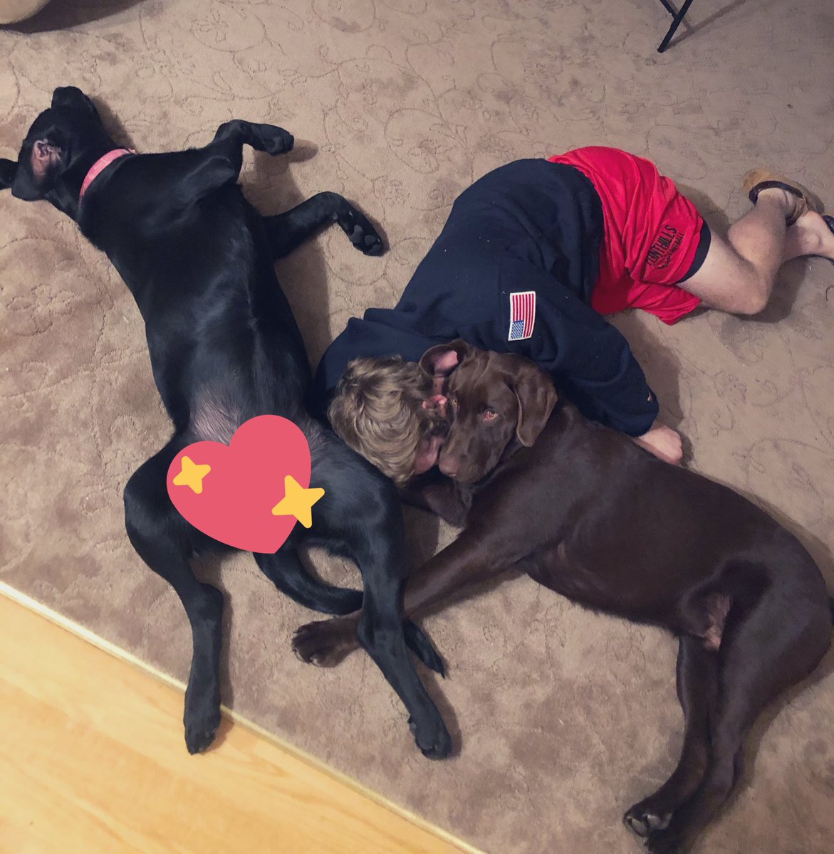 never a dull moment in this house