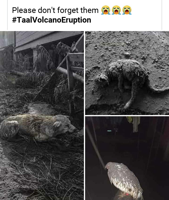 KBell889's tweet photo. What's happening to our earth? Everything has happened really made me scared and realized how old ours earth. After the bushfire, and now this happened. 😟 https://t.co/zBtbbYBbZE