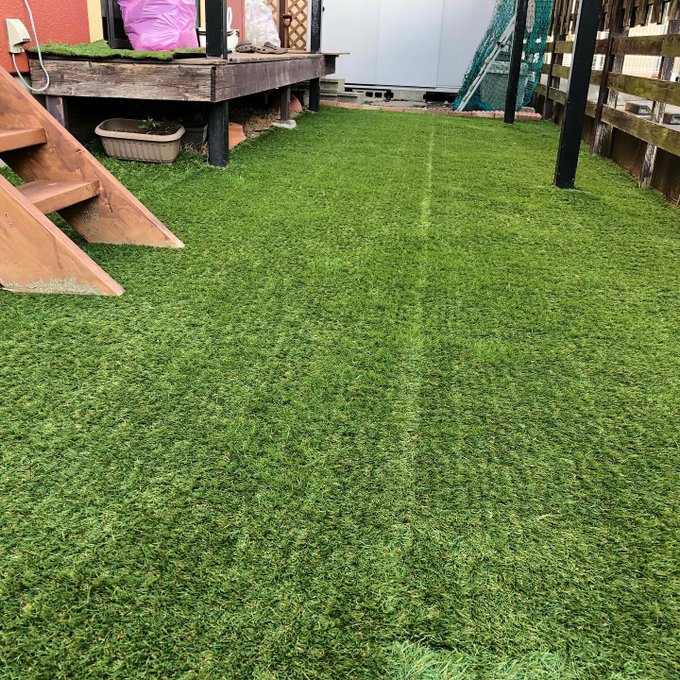 カインズのリアル人工芝とは 庭造りにも大人気 通常の人工芝との違いは 2ページ目 Botanica