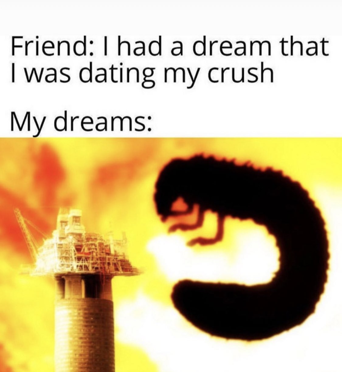 Reactions Friend I Had A Dream That I Was Dating My Crush My Dreams Giant Grub Or Other Larva