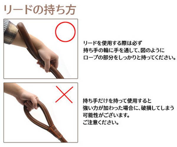 黒柴の春吉 ほんでさ 正しいリードの持ち方 なんて検索すると結構出てくるのが この親指にかけて握る方法 もちろん両手持ちが推奨された上での持ち方なんだけど これ本当にいいのかな 試しにやってみるとすごく不安で すっぽ抜けそうなんだけど