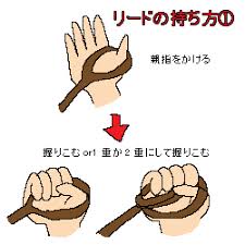 黒柴の春吉 昔どっかで ぐるぐる巻き は 大型犬とかにひっぱられた時に手首を怪我したり転んでしまうことがあるのでダメ って聞いたこともあるけど 私は万が一手が離れてしまい 愛するワンコが車にひかれてぺっちゃんこになるくらいなら 手首なんて