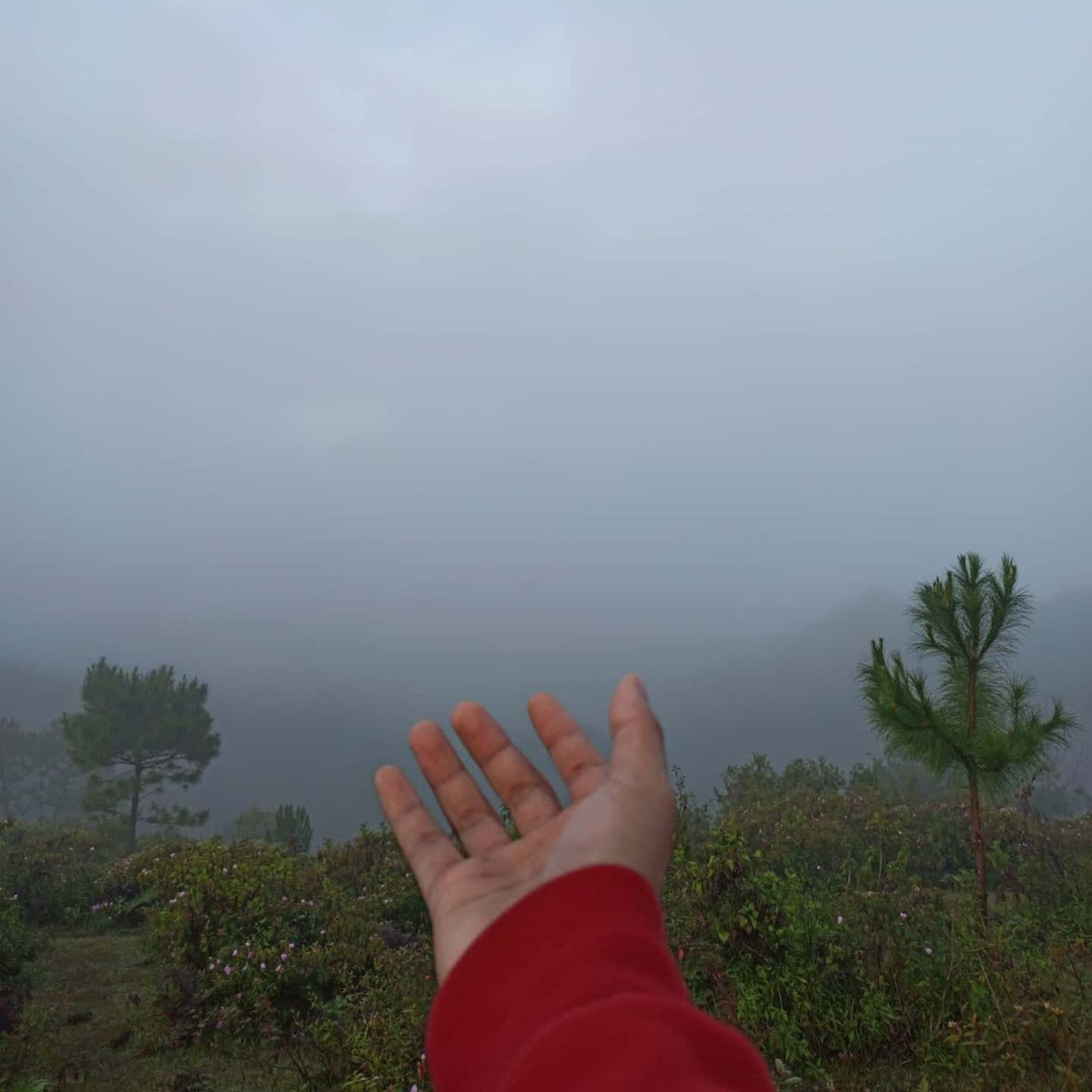 Jecrubio's tweet photo. Take My Hand ☀️ #Sagada #SagadaAdventure #WhenInSagada https://t.co/gKlK11VvRH