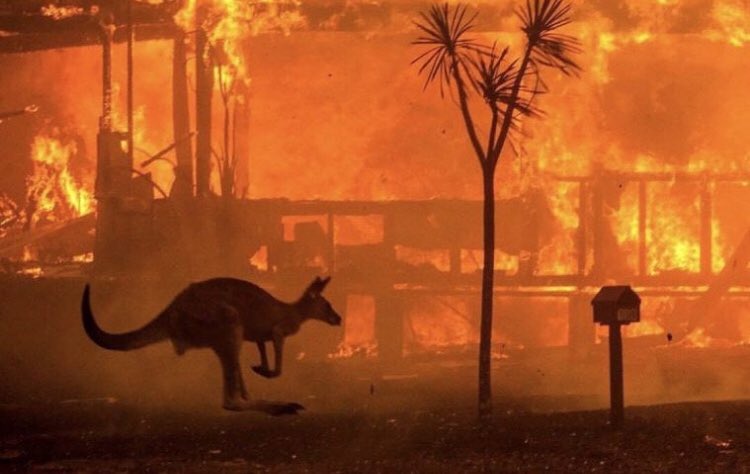 TheMaineFishman's tweet photo. If you don’t care about what is happening in Australia you are heartless. https://t.co/1p2Loc7qPf