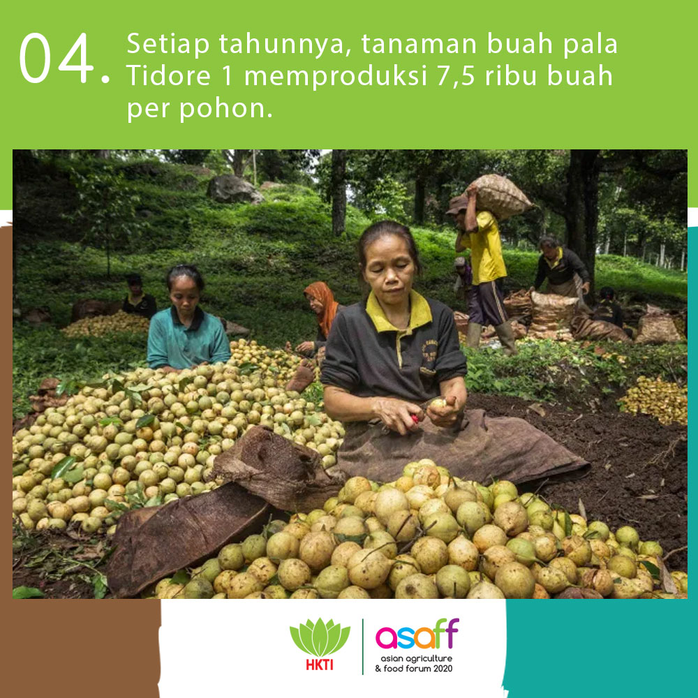 asaffhkti's tweet photo. #asianagriculture #foodforum #synergyofasia #pemudatani #transformasipertanian #revolusipertanian #kedaulatanpangan #teknologipangan #agribisnis #teknologipertanian #petanimilenial #revolusiindustri https://t.co/fB9zNbNGzi