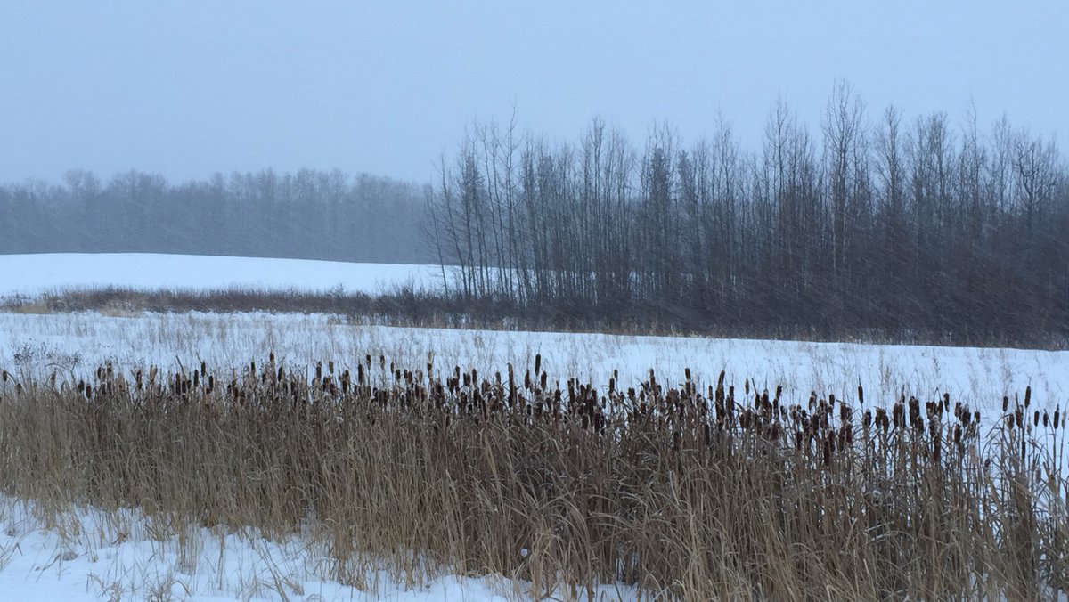 SchoenDuo's tweet photo. New concert program!
Borealis, the Winter Wind, and Zephyrus, the Spring Wind.
Works for flute &amp; violin evoking cold blustery winter days and the slow thaw that leads into spring.  January 31, 1:00 pm in the Chapel at Augustana Campus, U of A in Camrose.
https://t.co/PByNAp3ZVy https://t.co/hpKRkBXZzo