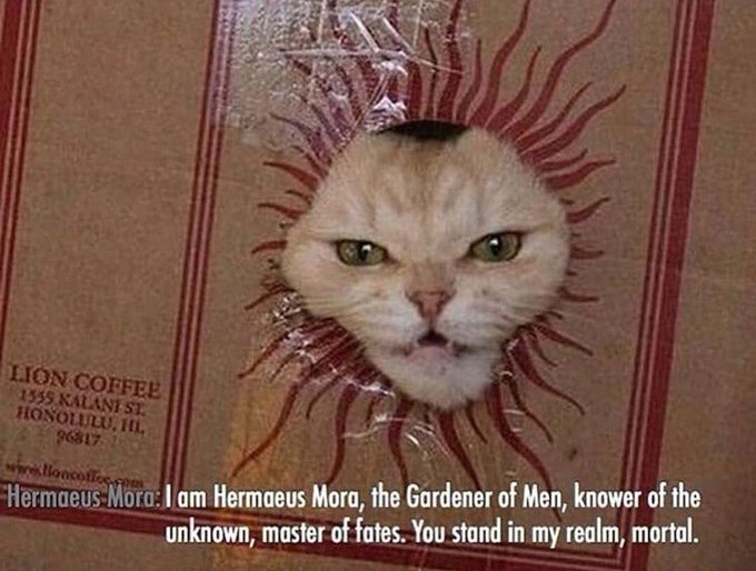 EOJ-MyaWsAAtMaw?format=jpg&name=small