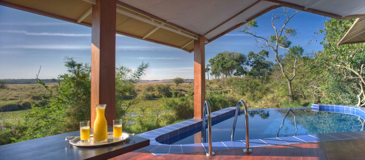 Ngerende's tweet photo. When Luxury meets the wild https://t.co/DLvJsW2JAL