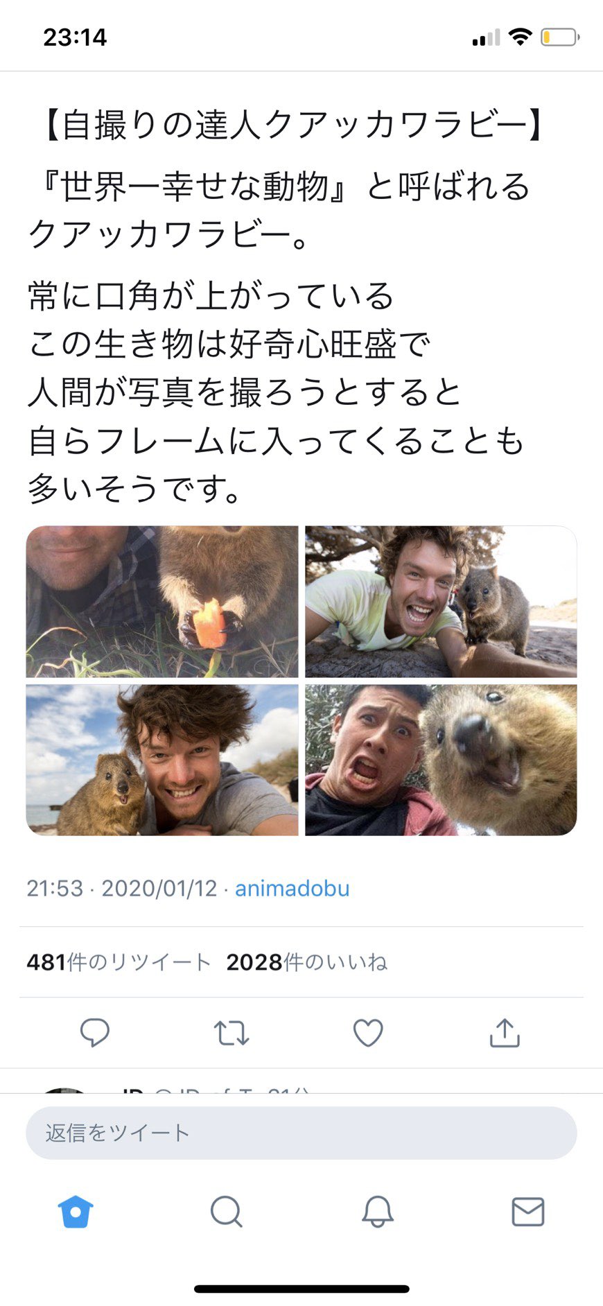広瀬裕也 宮本侑芽からこの写真4枚と 本物なん て送られてきたんだけど クアッカワラビーさんに失礼です あと最近別のアニメにワラビー出てましたよとかコメントくるのは 笑う Ssss Gridman 広瀬裕也 宮本侑芽からこの写真4枚と 本物なん て送られてきたんだけど クアッカワラビーさんに失礼です あと最近別のアニメにワラビー出てましたよとかコメントくるのは 笑う Ssss Gridman