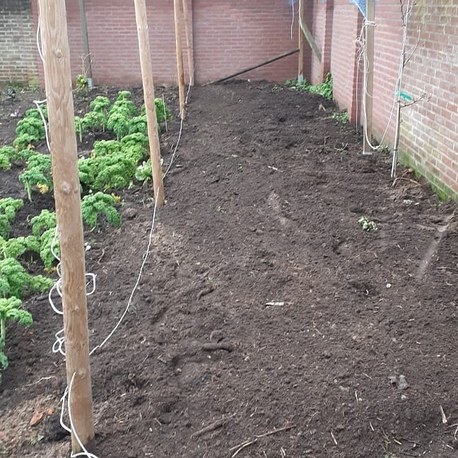 St_vrienden_S_H's tweet photo. Het bed van het Erfgoedzaden project Helmond in orde gemaakt. 
Wij doen mee met het in stand houden van oude gewassen. Hier telen we ze vooral voor  de zaadwinning. 
We zijn er nog niet uit welke soorten  
Op deze locatie worden groenten geteeld voor mensen die het minder hebben. https://t.co/D4PxfbKwjC