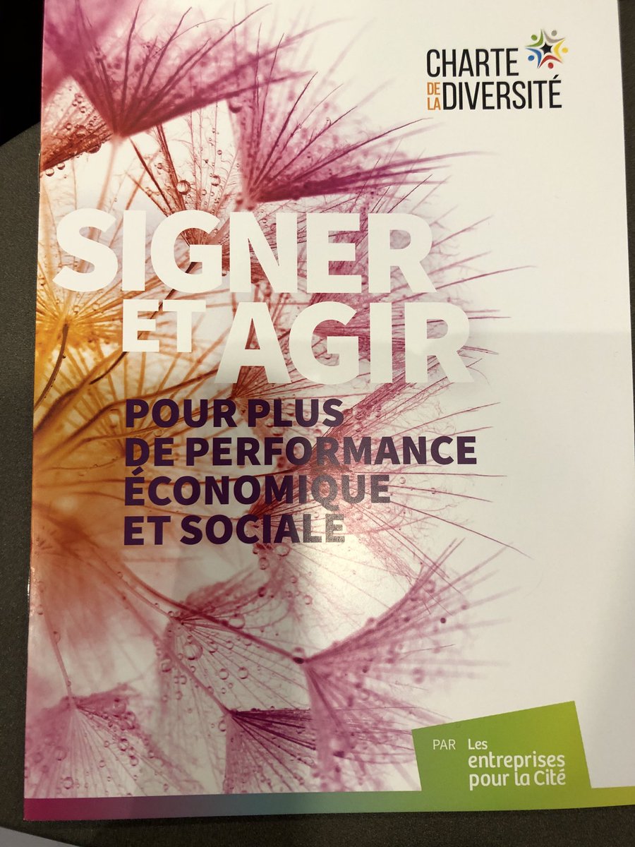 CoSempe's tweet photo. La ⁦@CharteDiversite⁩ est construite avec un esprit de mesure pour progresser 🚀 C’est également l’occasion de parler de certains sujets dans les entreprises et d’identifier des moments clés #StratégieRH ⁦⁩ https://t.co/8FvRvnAHqD