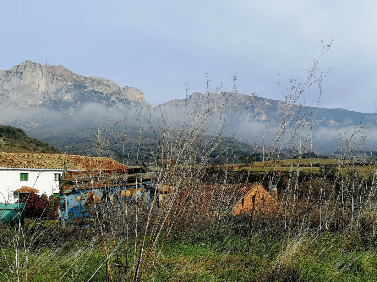 Mañana fresca en el #pueblo #Azuelo. #experienciarural disfrutando del #silencio y la #niebla