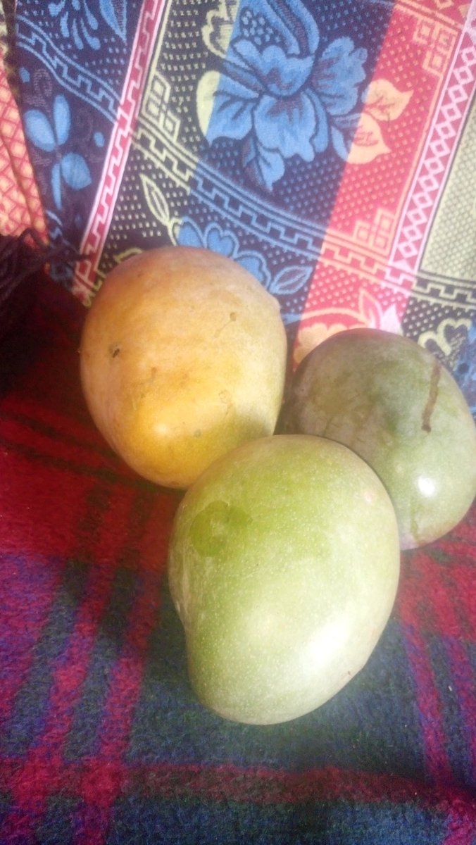 Midiaifani1's tweet photo. Venda Thi 😋 https://t.co/xEHvMhdNnd