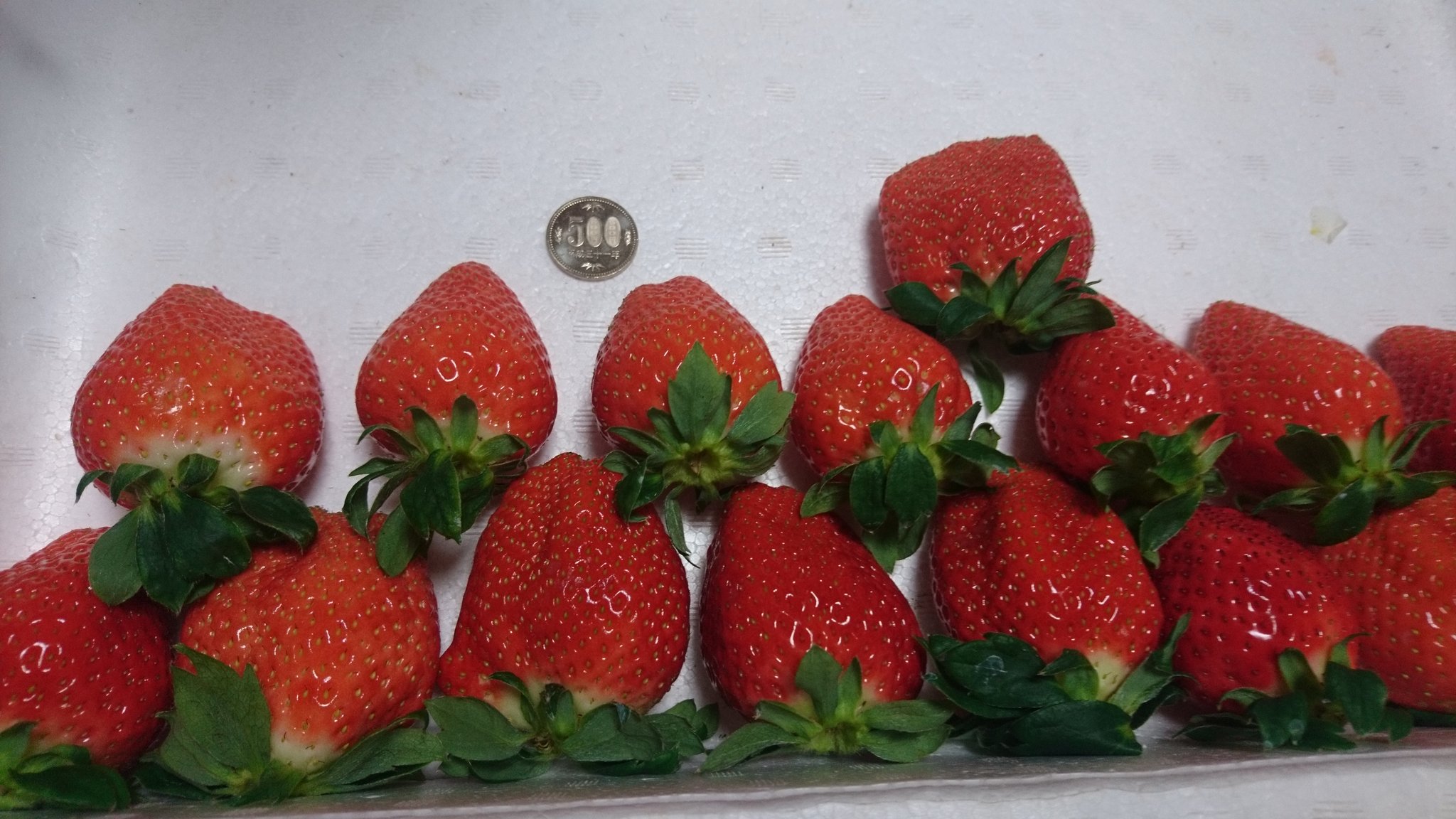 Smilesanta すまさん お客様から美味しいの声頂いております Ichigo Biyori55 Twitter