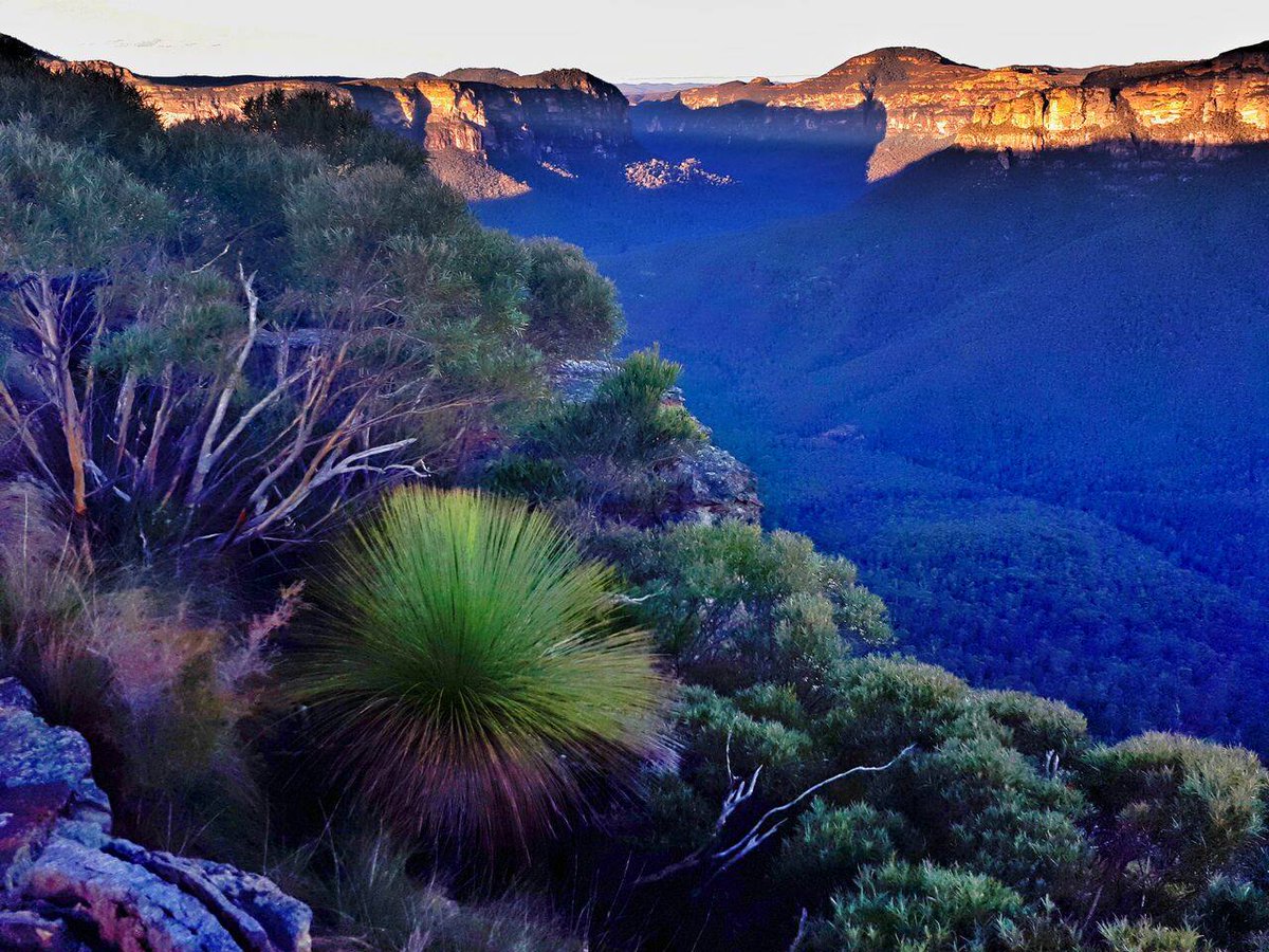 feministbirther's tweet image. Living on Gundungurra land, grateful every day to Elders, past, present and future.
Image by Gary Hayes Photography.