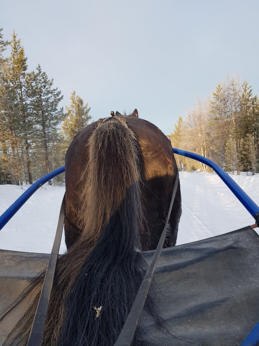 Kan man ha så mycket bättre utsikt från sitt kontor #VästerboFeelSoFine #Vemdalen