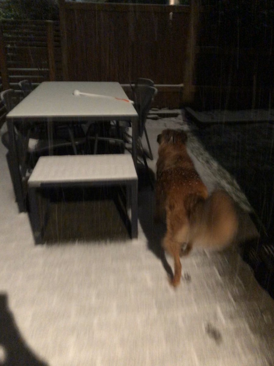 AKravis's tweet photo. @KSeattleWeather snow in Green Lake! https://t.co/MrT5lHuHqL