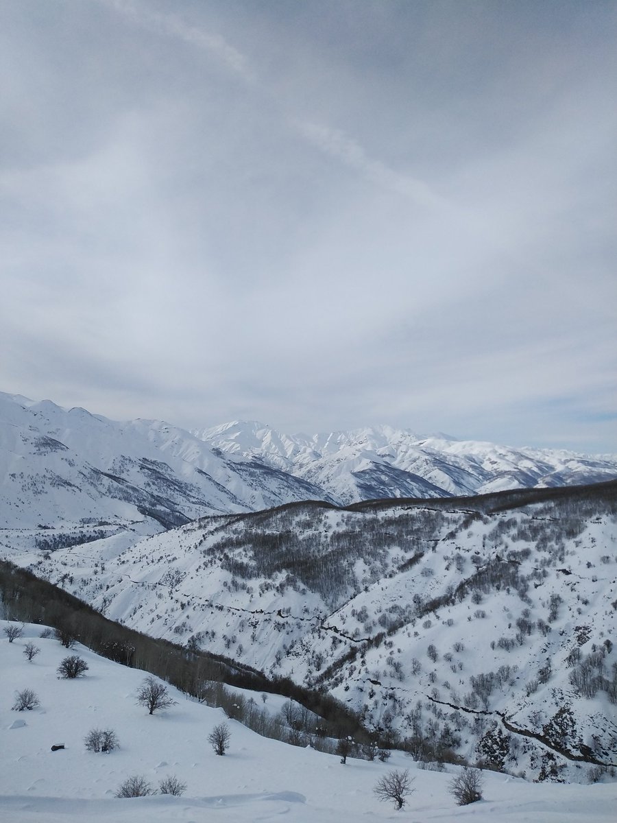 SzgnErkn's tweet photo. Roj baş https://t.co/1cerLdWji1